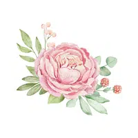 Peony | Desert Flowers Names