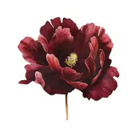 Peony | Spring Flowers Names