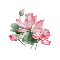 Pink Lotus | Water Flowers Names