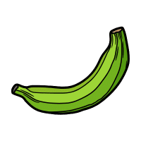 Plantain | Wild Plants Names