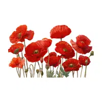 Poppy | Water Flowers Names