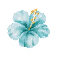 Portulaca | Desert Flowers Names
