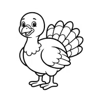 Poult | Farm Birds Names