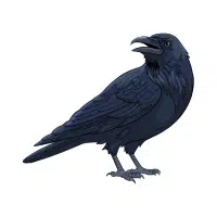 Raven | Zoo Birds Names