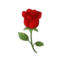 Rose | Garden Plants Names