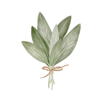 Sage | Wild Plants Names