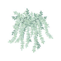 Sedum | Desert Plants Names