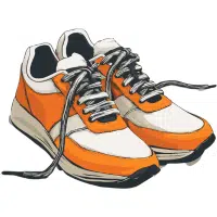 Shoes Pair | Sportswear Names