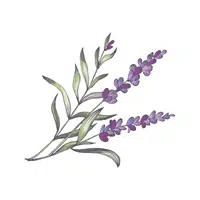 Smartweed | Water Flowers Names
