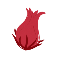 Sorrel | Wild Plants Names