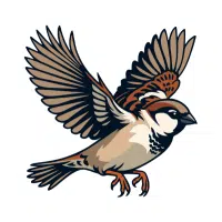 Sparrow | Zoo Birds Names