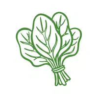 Spinach | Water Flowers Names