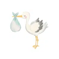 Stork | Zoo Birds Names