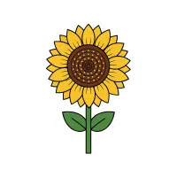 Sunflower | Garden Flowers Names