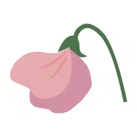 Sweet Pea | Garden Flowers Names
