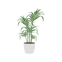 Tamarisk | Desert Plants Names