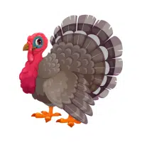 Tom | Farm Birds Names