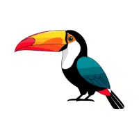 Toucan | Forest Birds Names