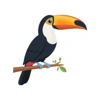 Toucan | Zoo Birds Names