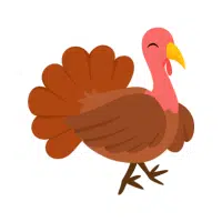 Turkey | Farm Birds Names