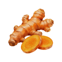 Turmeric | Tropical Plants Names