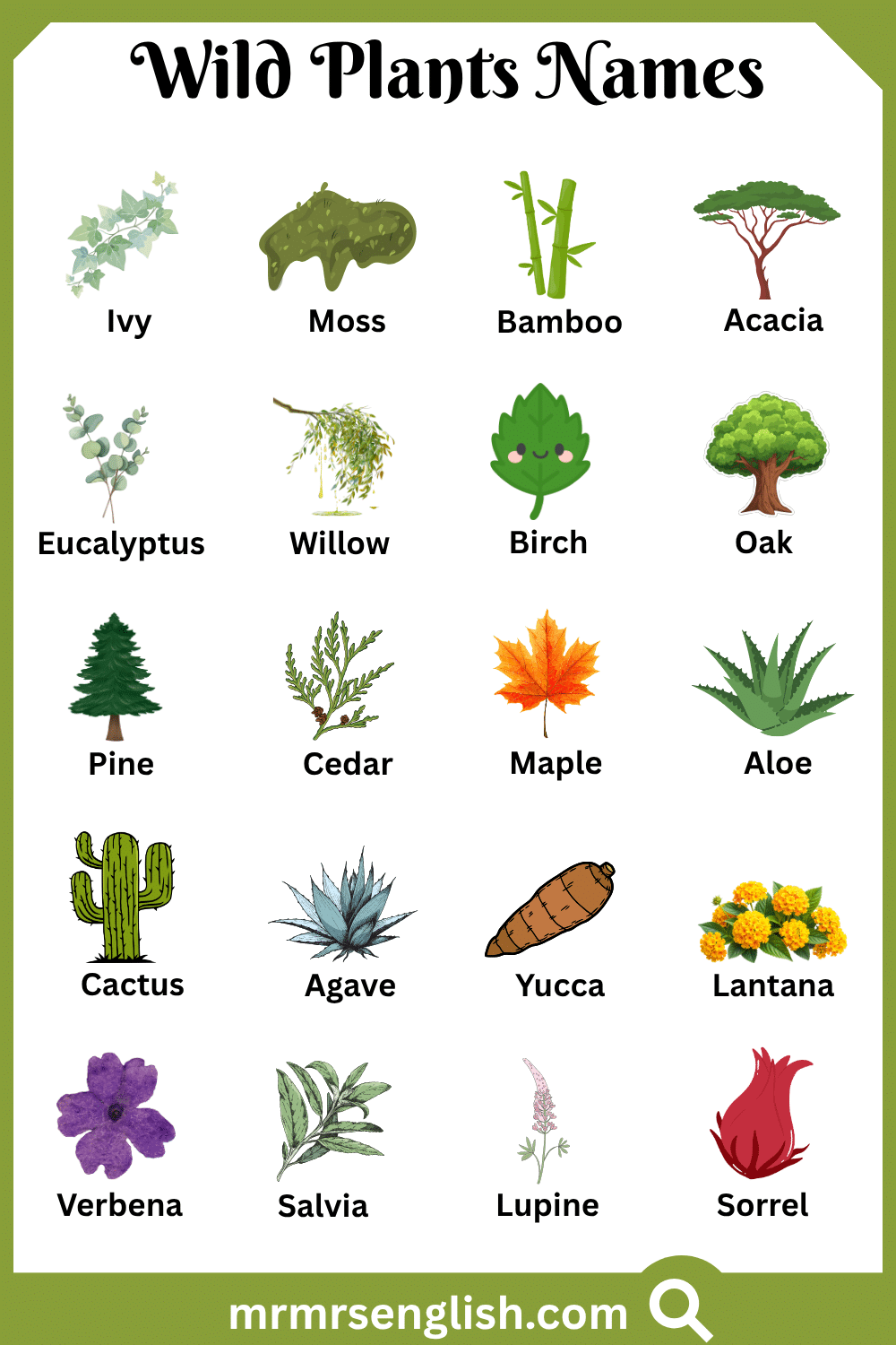 Types of Wild Plants in English with Pictures