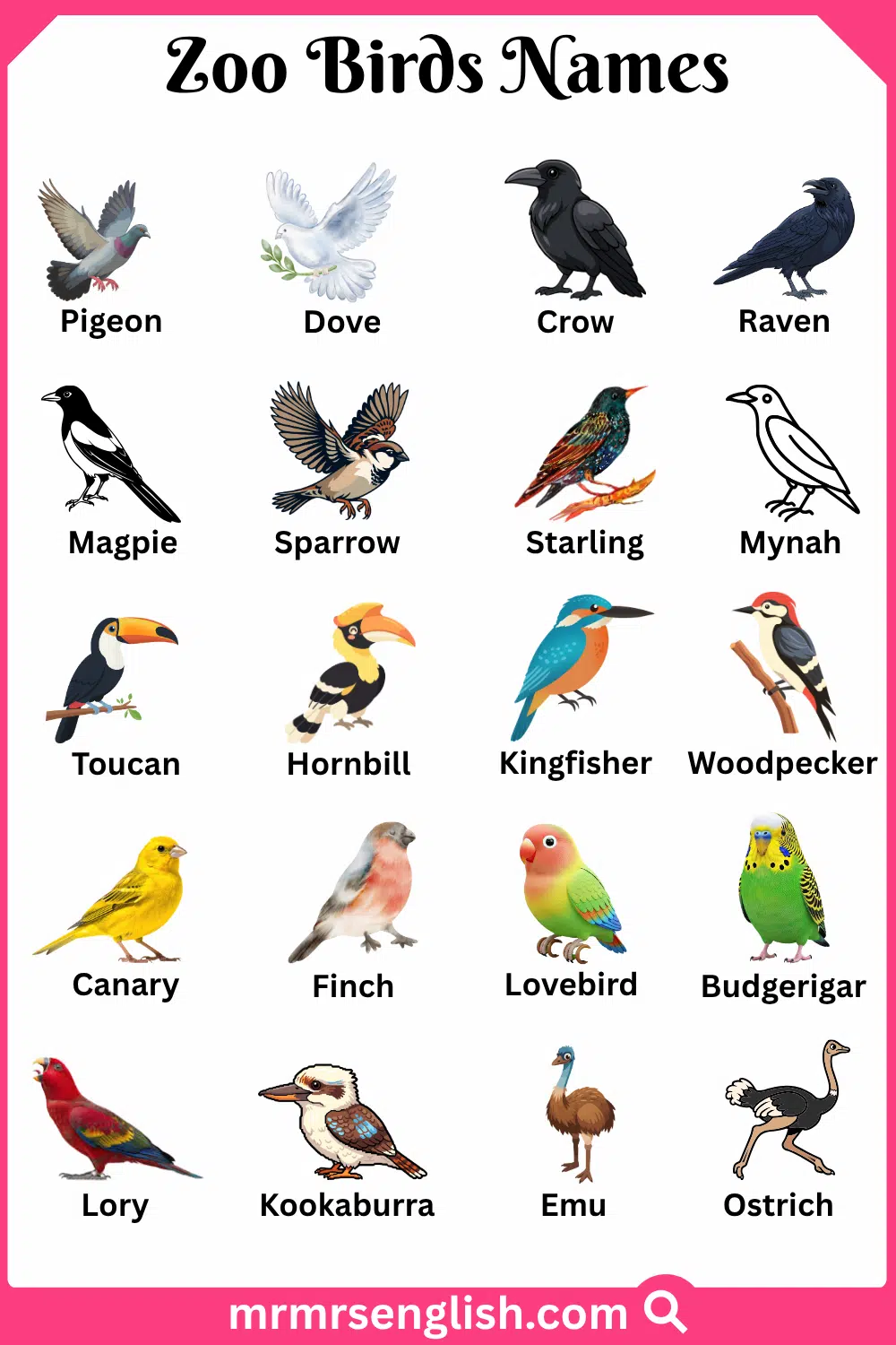 Types of Zoo Birds in English with Pictures