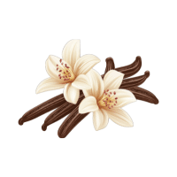 Vanilla | Tropical Plants Names