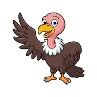 Vulture | Zoo Birds Names