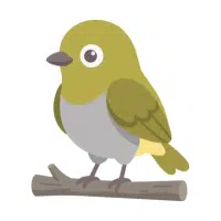 Warbler | Forest Birds Names