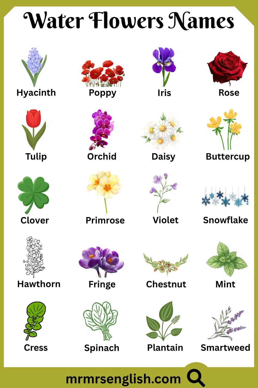 Types of Water Flowers in English with Pictures