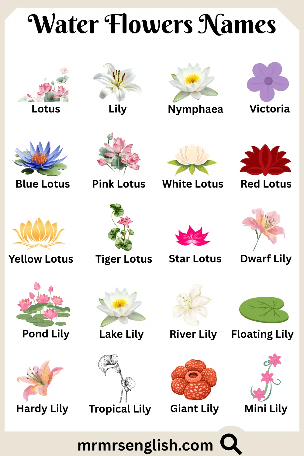 Common Names of Water Flowers in English with Pictures
