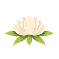 White Lotus | Water Flowers Names