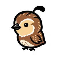 Wyandotte | Farm Birds Names