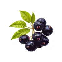 Acai Berry