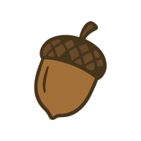Acorn