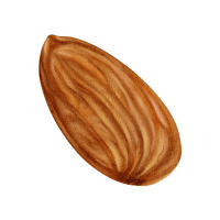 Almond