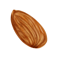 Almond