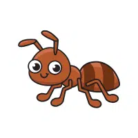 Ant Lion