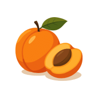Apricot