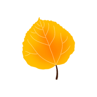 Aspen