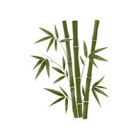 Bamboo
