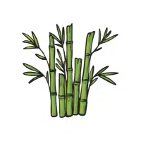 Bamboo