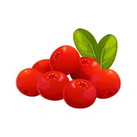 Bearberry