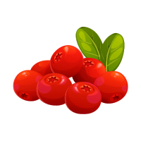 Bearberry