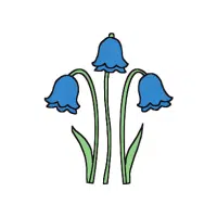 Bells