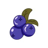 Berry