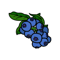 Bilberry