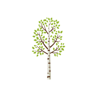 Birch
