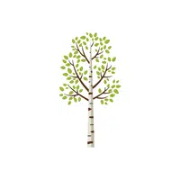 Birch